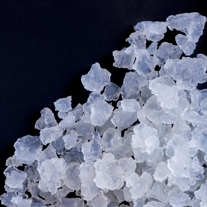 Organic Water Kefir Grains