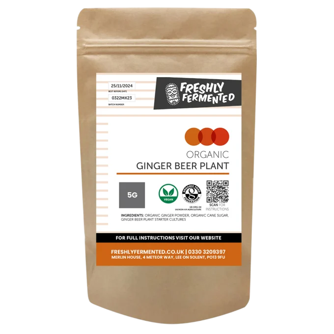 Organic Ginger Beer Plant (GBP)