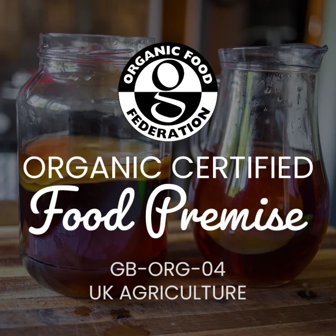 Organic Kombucha Scoby