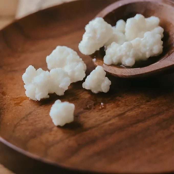 Organic Milk Kefir Grains