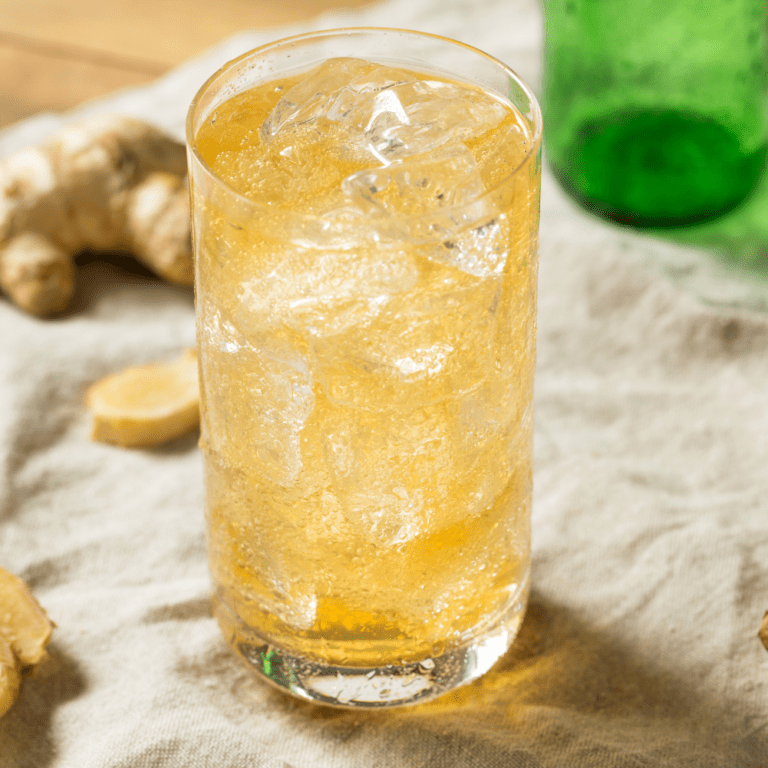 Organic Ginger Bug Starter