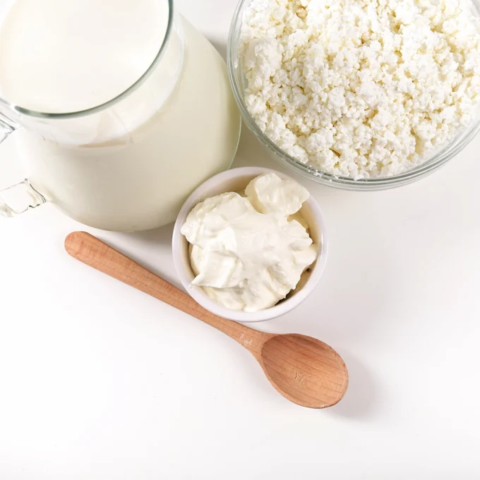 Organic Milk Kefir Grains