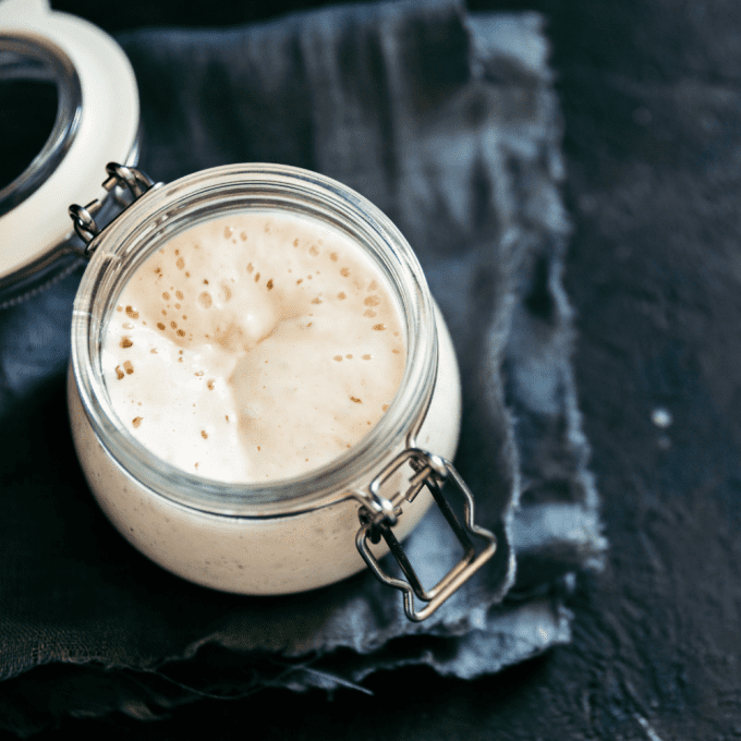 Organic Colorado Brown Sourdough Starter