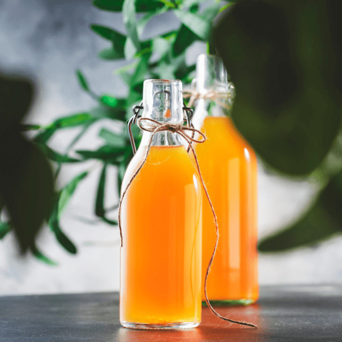 Organic Viennese Kombucha Scoby