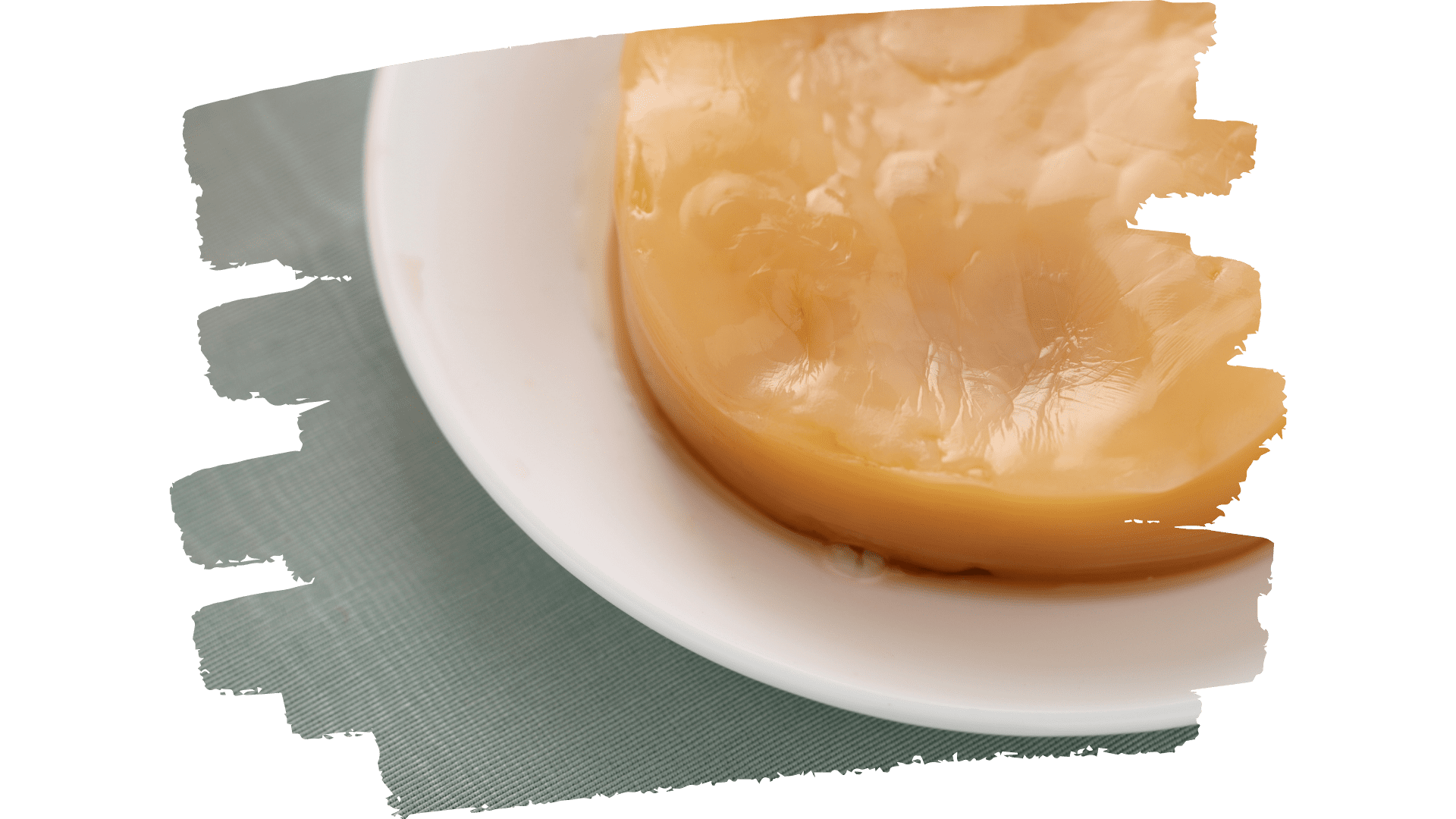 What Is an Organic Kombucha Scoby? - Freshly Fermented