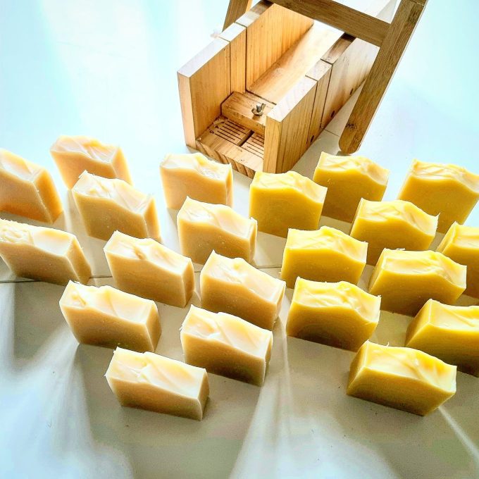 Organic Reishi Infused Kefir Soap