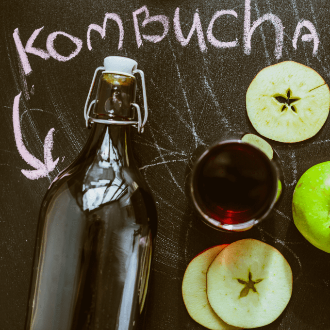 Organic Egyptian Kombucha Scoby