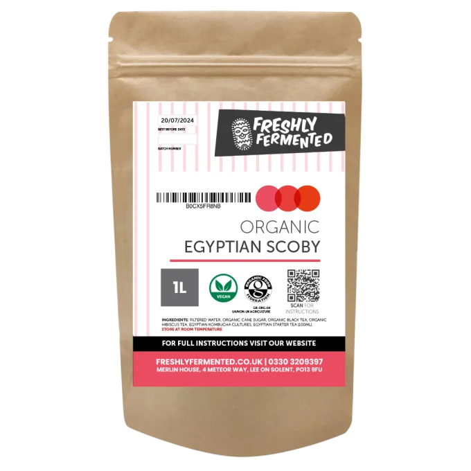 Organic Egyptian Kombucha Scoby
