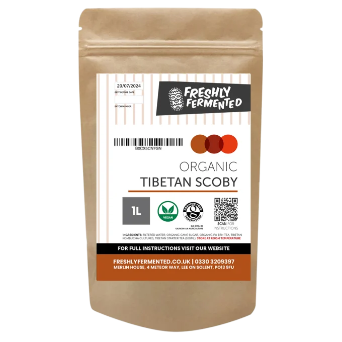 Organic Tibetan Kombucha Scoby