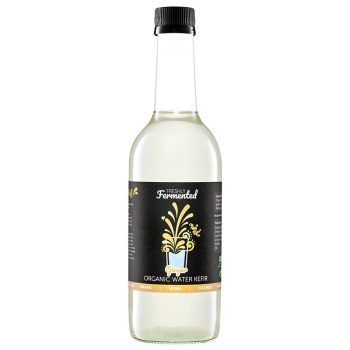 organic-water-kefir-drinks-ginger