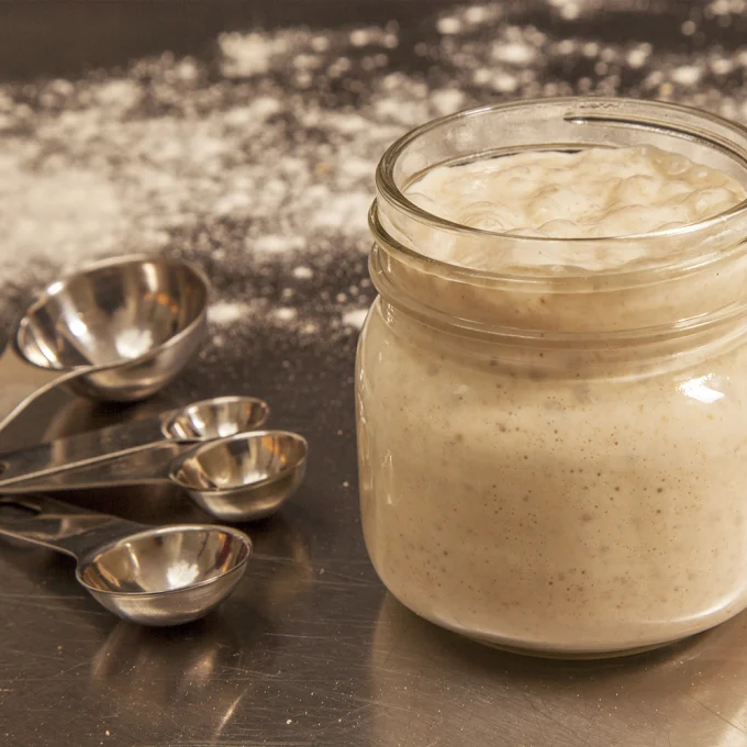 Organic San Francisco Sourdough Starter Culture
