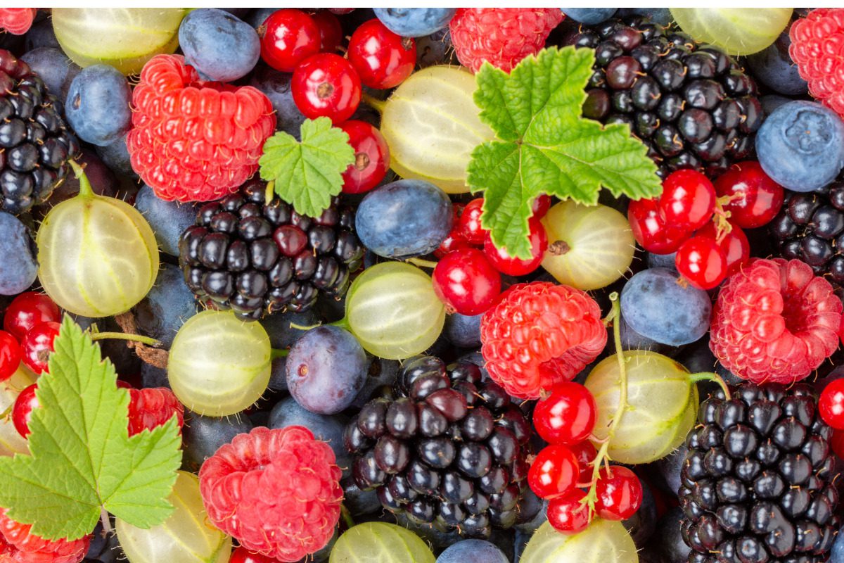 summer fruits